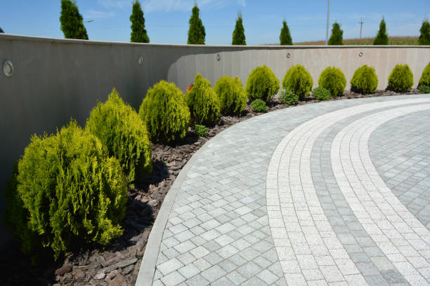 Best Affordable Driveway Pavers  in Ronan, MT